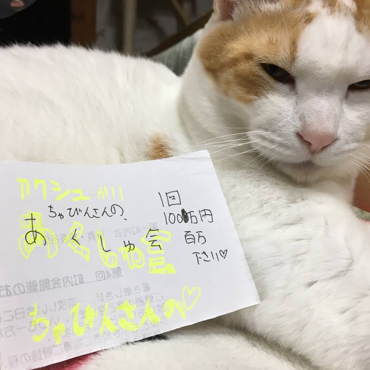 0085fa31 e3bc 4906 94ba 4e0c69b4453f