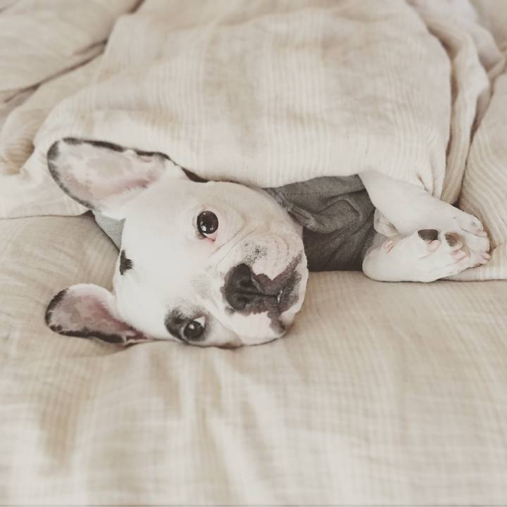 008602af b730 4575 87a8 2356334e191c