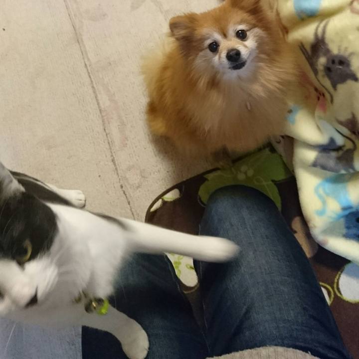 00864d83 f649 4e86 9035 bdd8e2786983