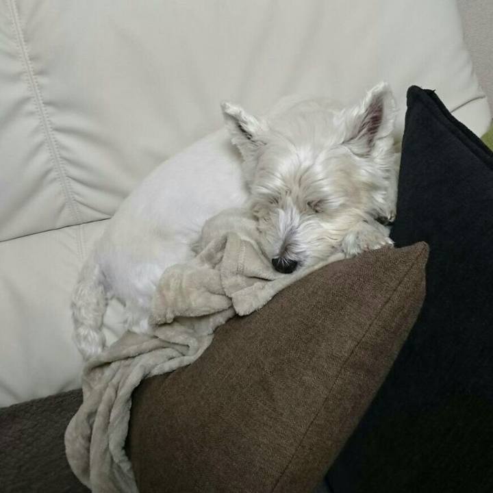 00875da8 413b 4345 9b1c 0185e72ef28f