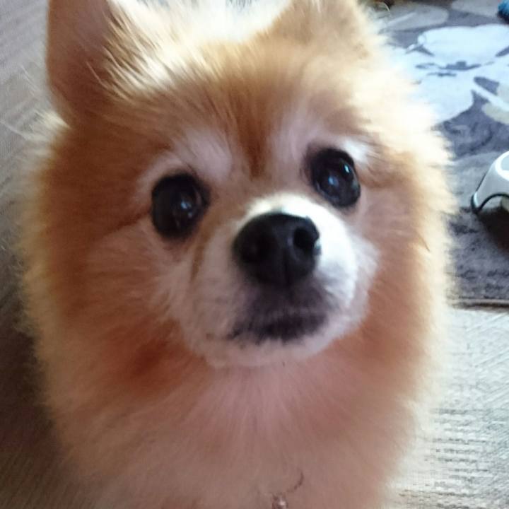 0087b3f0 a0ee 48d5 9e3d 6d286f4430ab