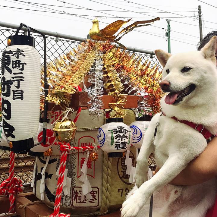 0087ec98 9843 4ba5 85a9 49a1031777f6