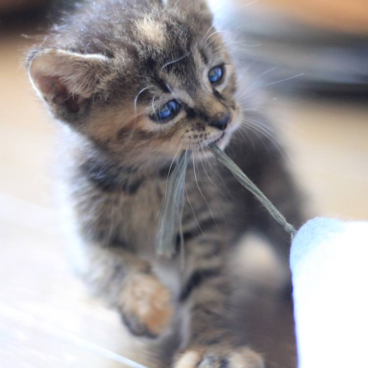 0087ef4f c8f3 4781 9c52 6fbcff71c786