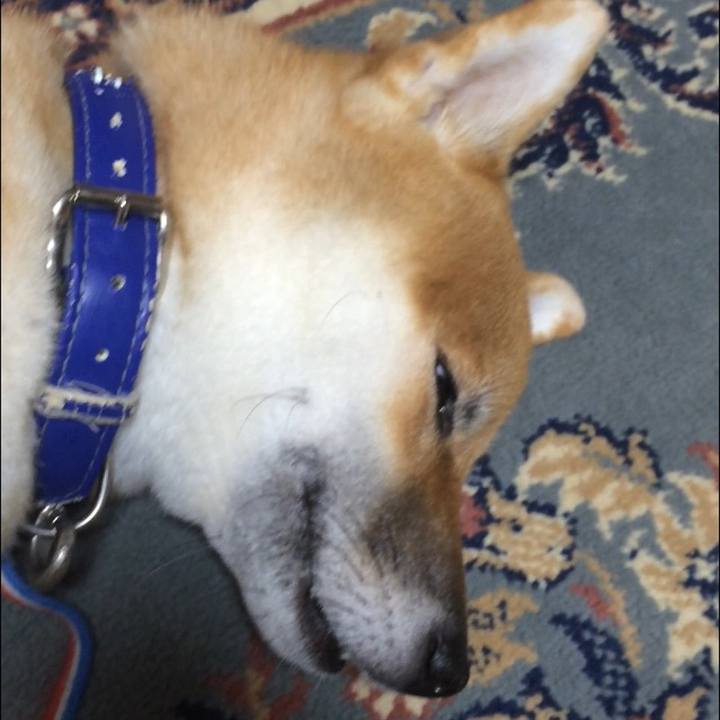 0087f331 0bf1 4b4f 9b1a 16b7c5dacd53