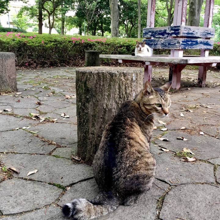 0087fac7 28f0 4435 9f8f 8937943f8881