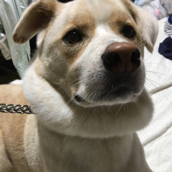 008813f4 01ca 4581 9738 a291264fc53f