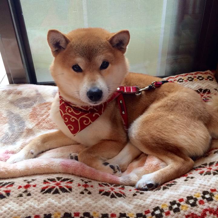 0088e003 46d8 4981 871b ddf3740558ef