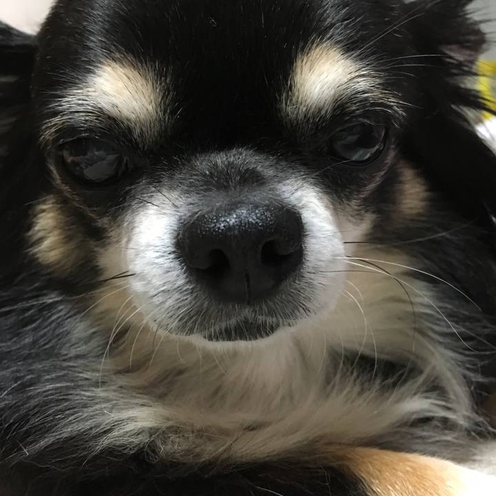 0088e092 f2c0 4376 97d2 54db2d454746