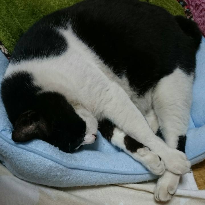 00890a59 1eb7 4aab a875 b763e8a43169