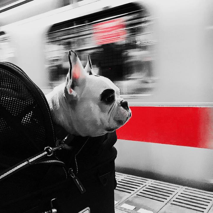 00890a79 b917 416a 9295 1dbd84baef3c