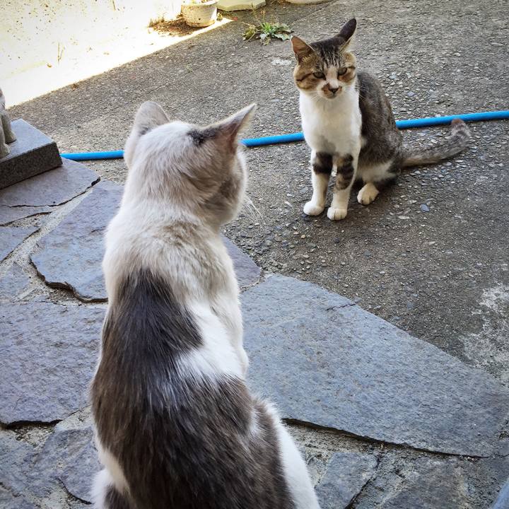 008a5af5 75e8 4566 a4de d9233f0abe01