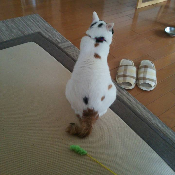 008a86e9 f836 482d bbd7 0a3cec069a8b