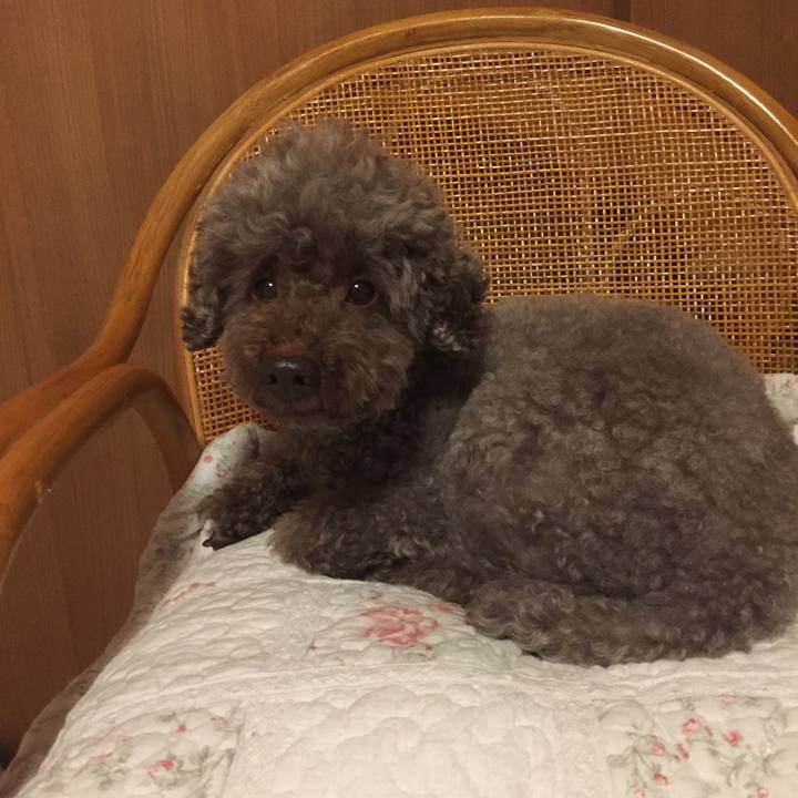 008b3d84 a4dd 4627 91da f473fc89c82b