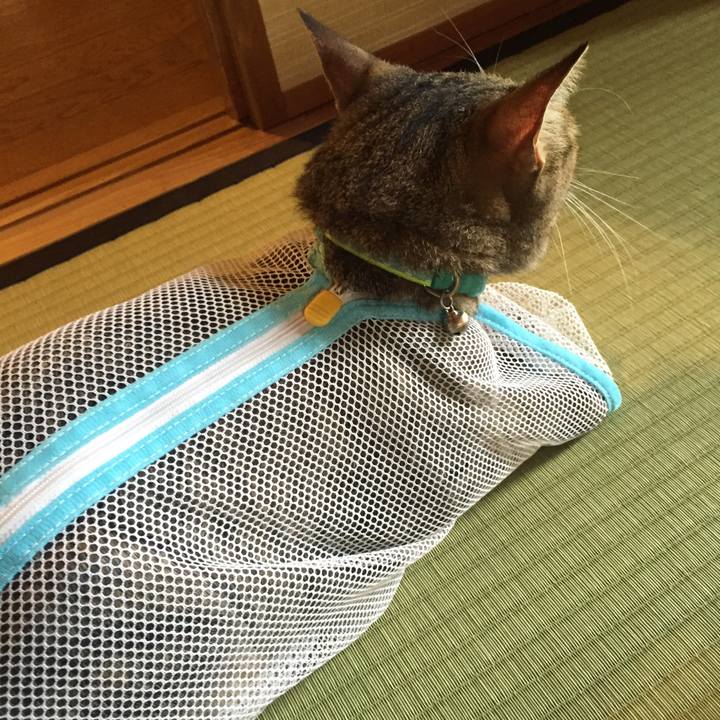 008b772c af7e 49e2 ba7d 5af739f1612e