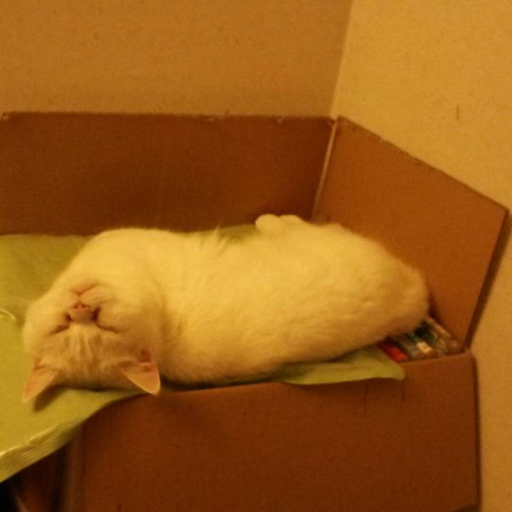 008c4414 f63f 48e5 b601 656bfb781fb2