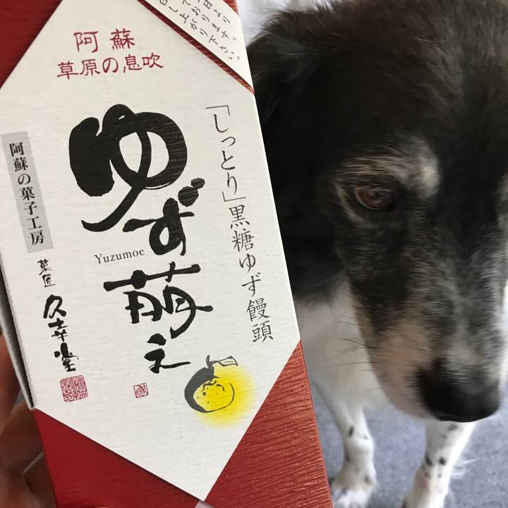 008d846d 019f 4b41 b463 fd15dab6afc8