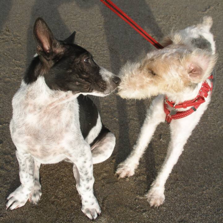 008ea99f 9f6c 47de 88fd 5f9e586544a5