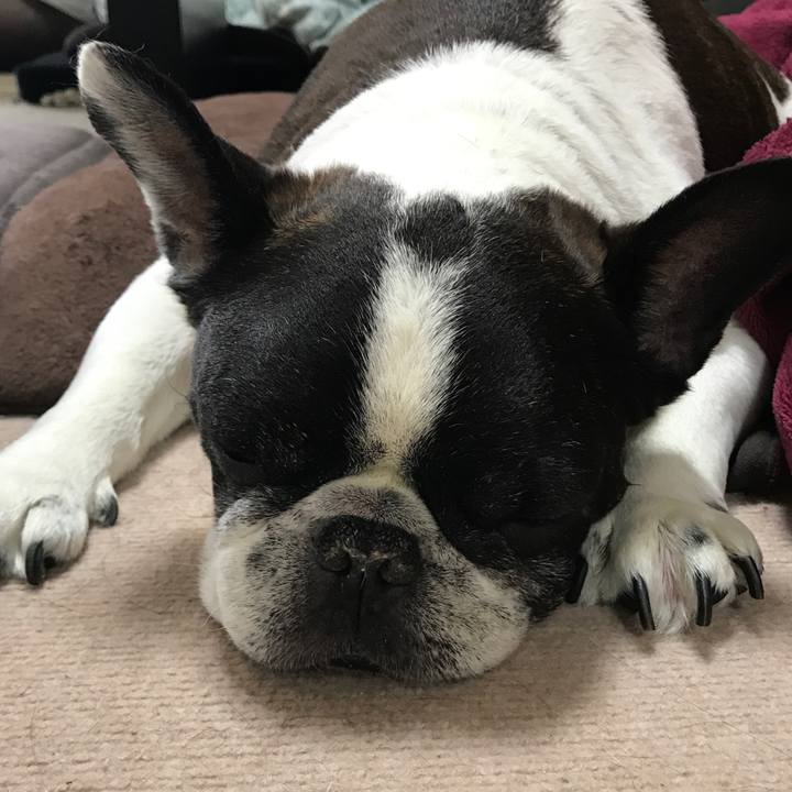 008ef854 d5a5 4ac4 ae39 722c6371ea9f