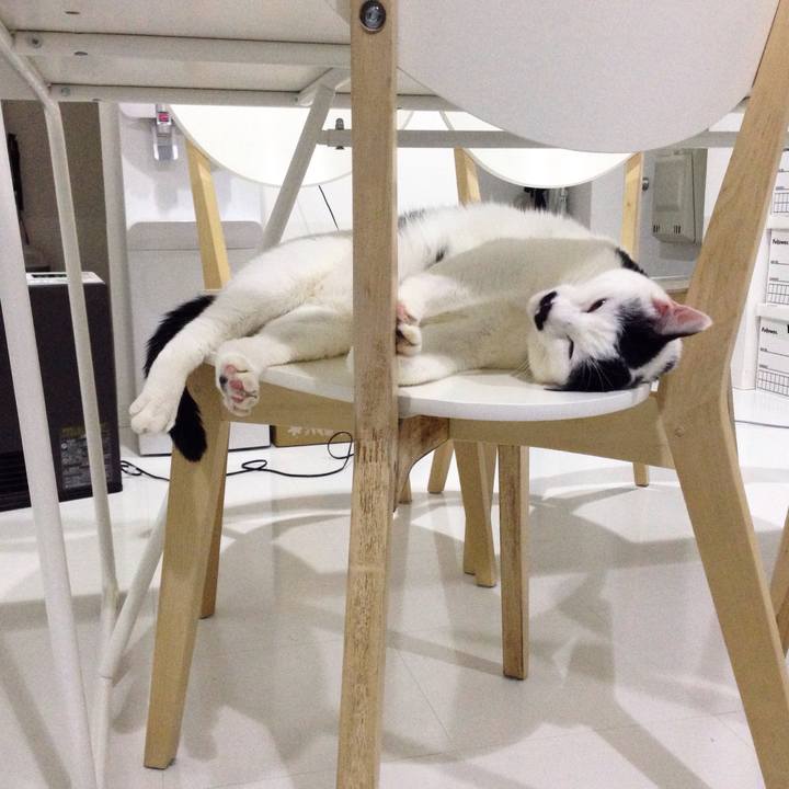 008f0f0e a3e9 4f74 b220 f3484345e5af