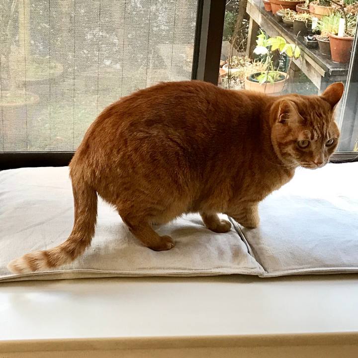 008fd97d e3f6 42c8 aaf9 b40a6c60e796