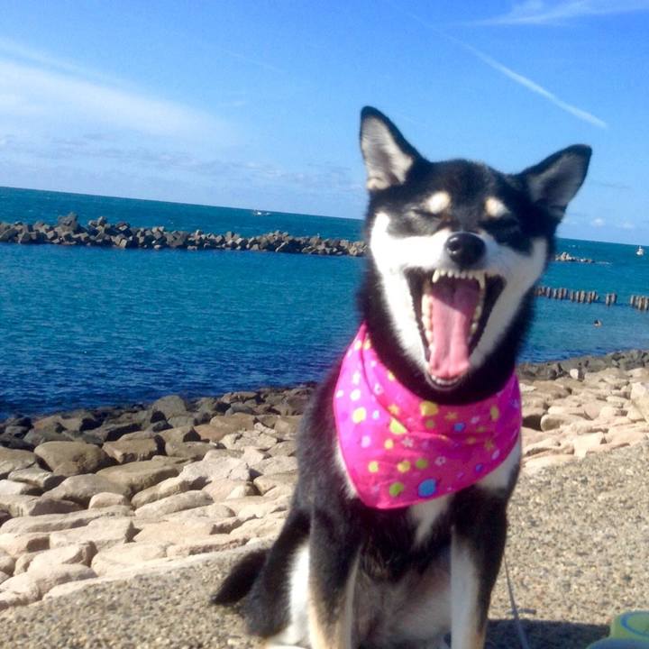 00902bd3 c341 4da4 b965 237728ceb81f