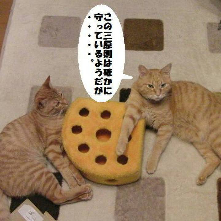 0091383e 7179 4392 b291 1e9e1000d189