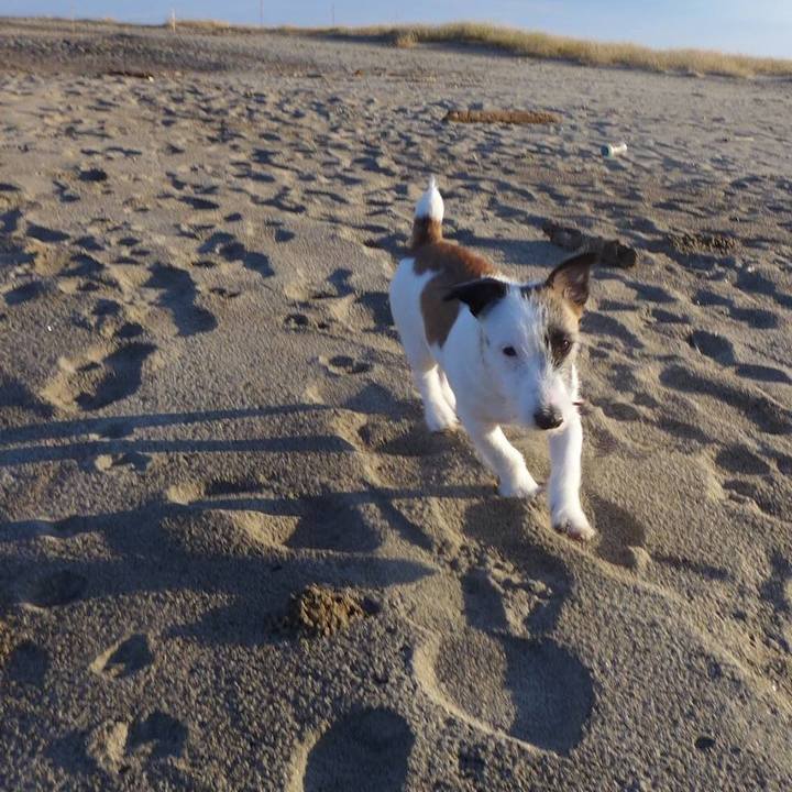 0091f8e8 e302 4416 85b3 c479f948b11b