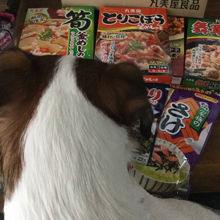 009224b6 9e4e 4f8b 9481 4f788cae3b34