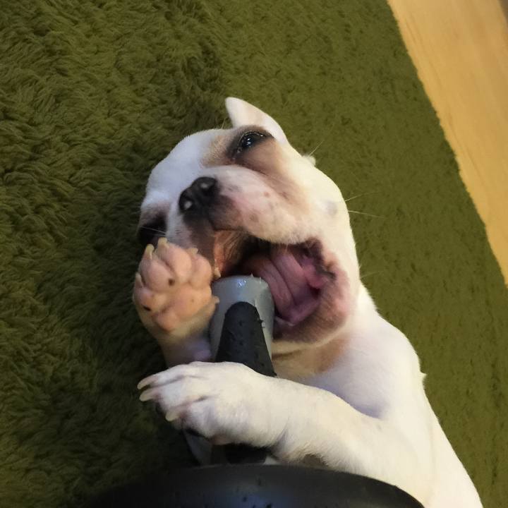 009268e8 659c 4d2f 8a84 556116b2e268