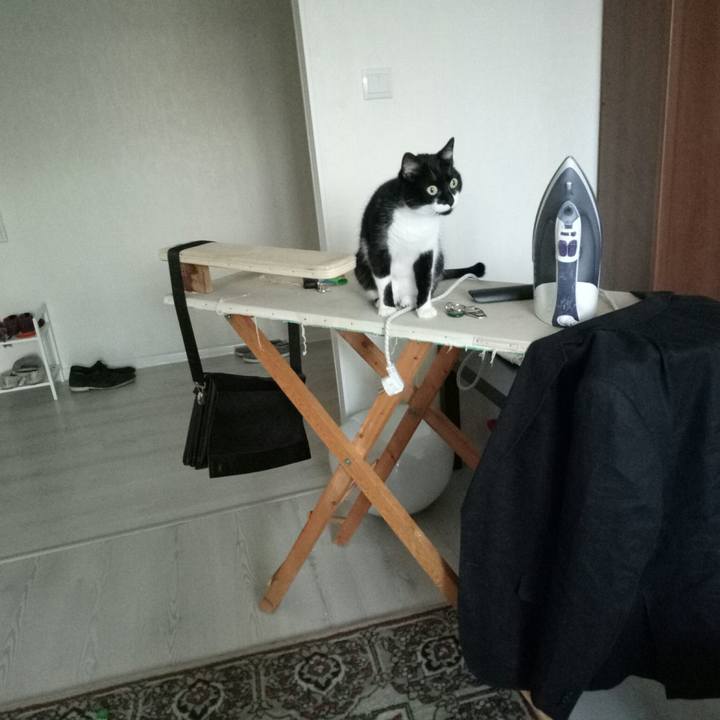 0092b0b9 2fea 4a2c 956e 1780bcd1e5a3