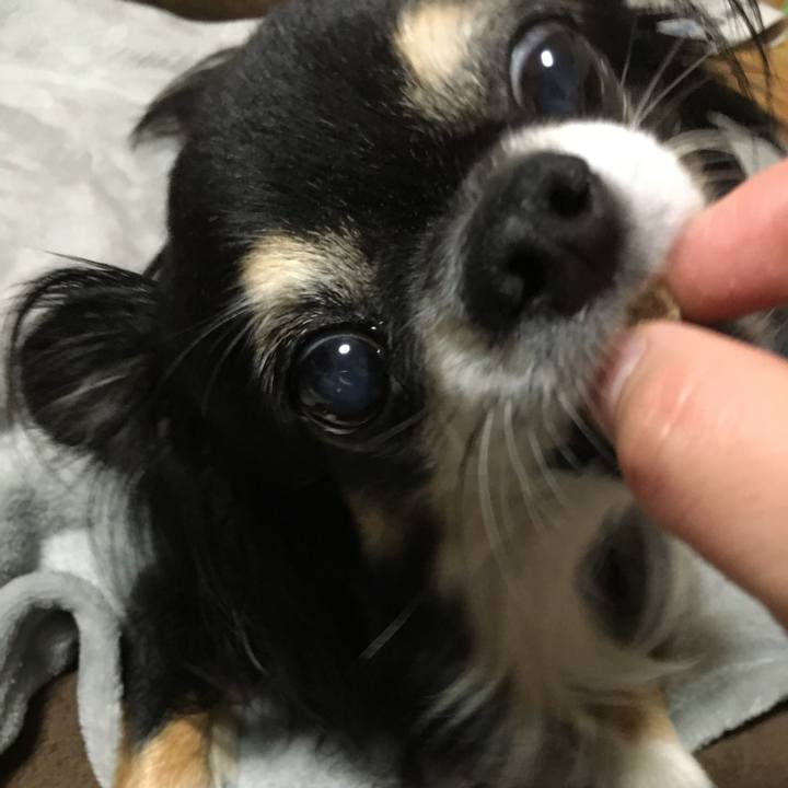 00933614 e512 41b3 85b4 74ad2e7f7c57