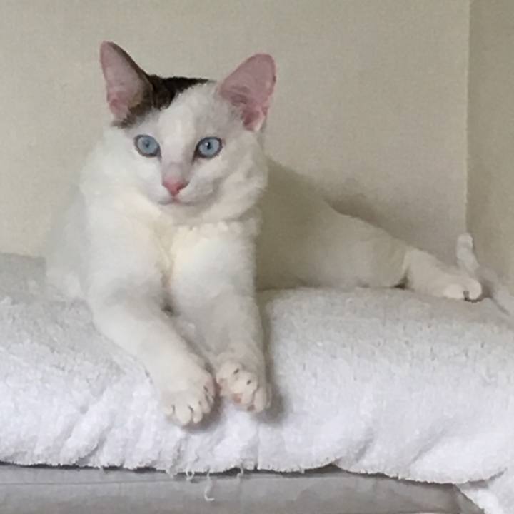 0093519c e6f9 46ca 87ca 592346aa780a