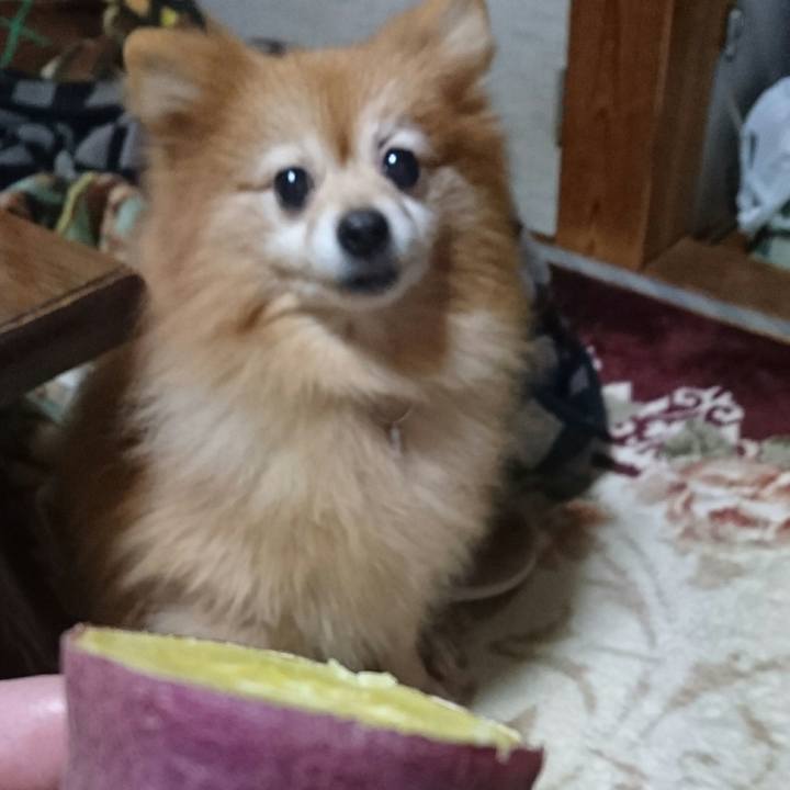 0093c549 0c11 4407 b11a f649af309e67