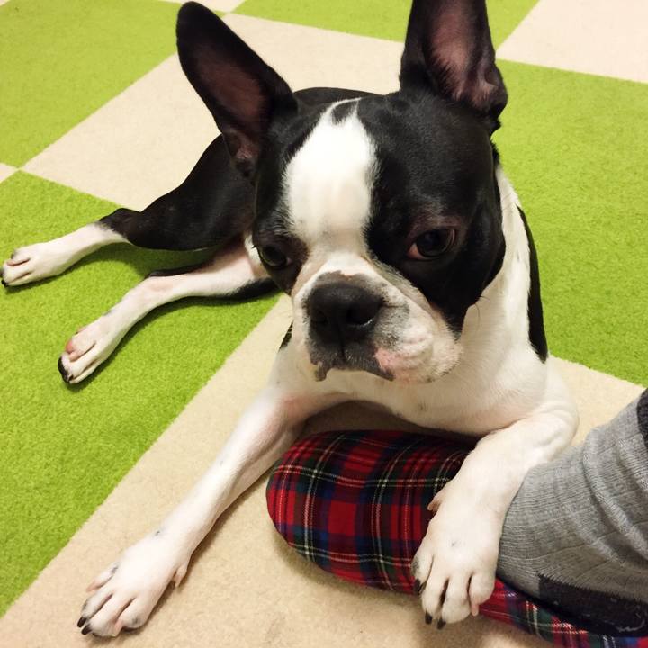 0093cfae 0d31 4137 aa3f c6484dbc792c