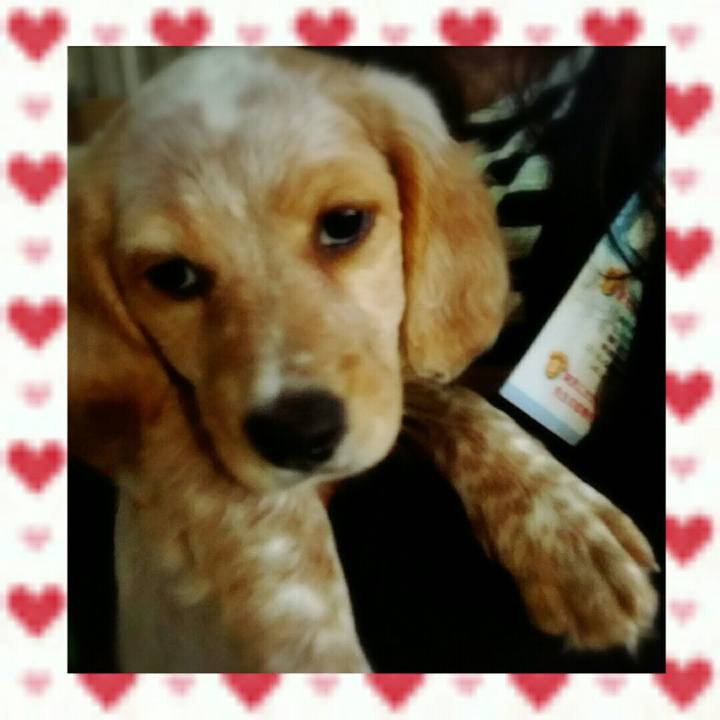 009419cf 8ae0 4692 b2e1 a22d60d3da05