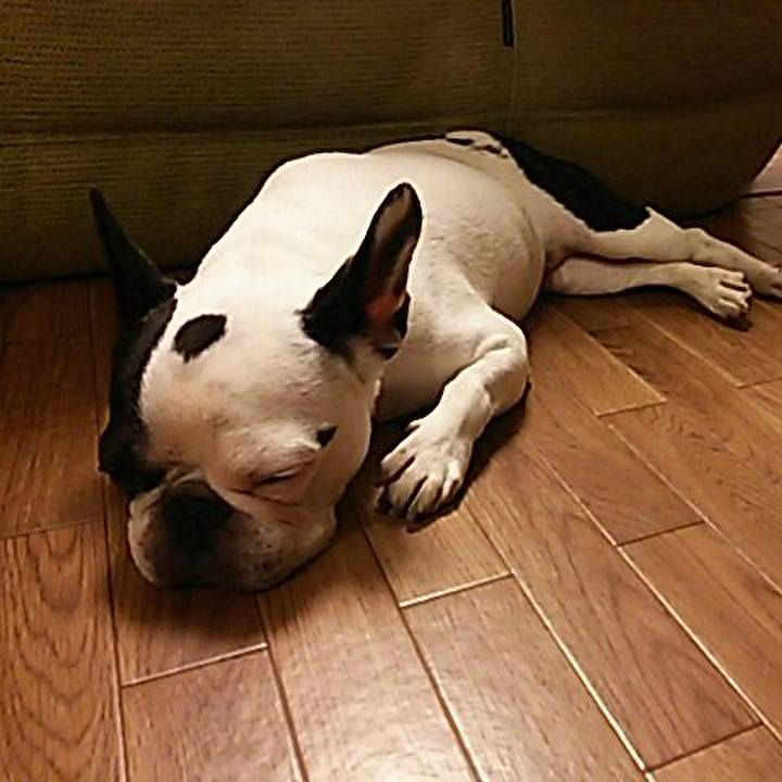 0095214a b460 4507 b331 357de759b739