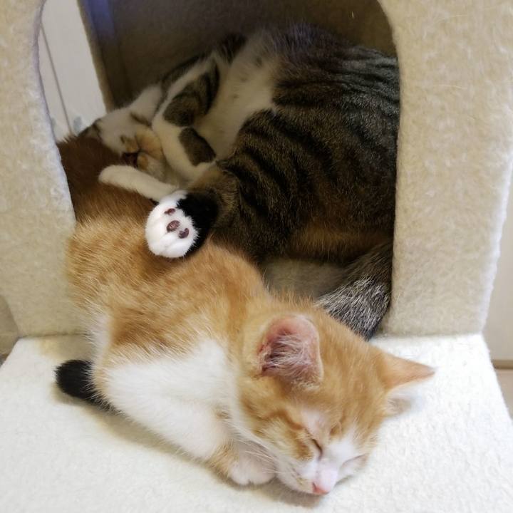 0095269e abbe 4cac 8a14 38f11983b3cd