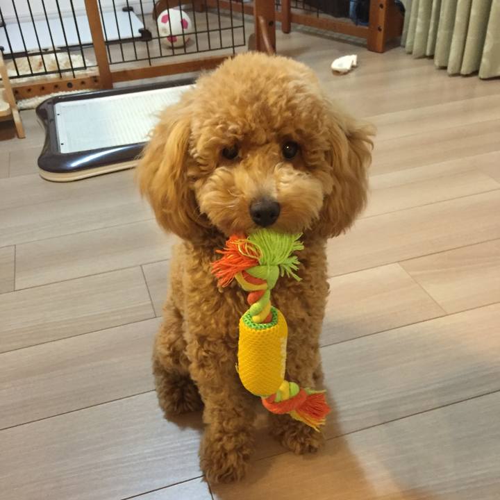 00957ce2 3dce 49af 8b86 d09c0eb10f3a