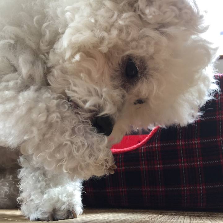 0095f3a8 4dbe 4cac 93c3 9a0cbe7afe1c