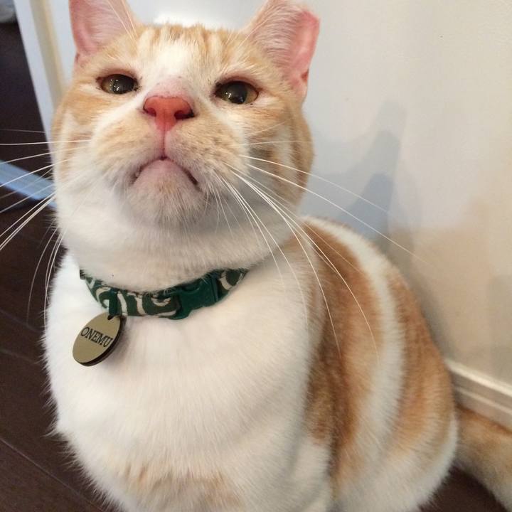 0095fc6e 61ef 440b b66e cc9423f8620c