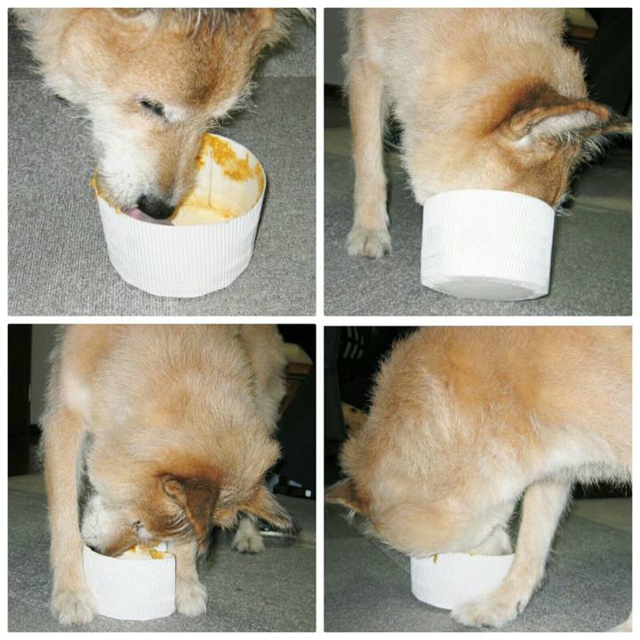 00965757 c569 4c50 b25d 5afc3ffa839b