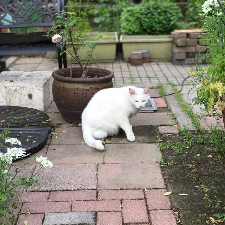 0096ac4c 7837 4de7 ab26 273d29acc871