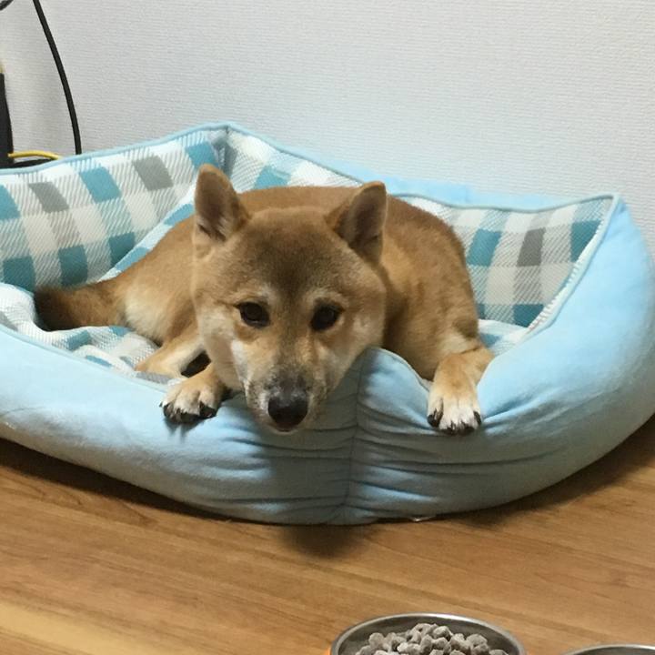 00970da8 2389 4e1b 95e4 df1619a71a83