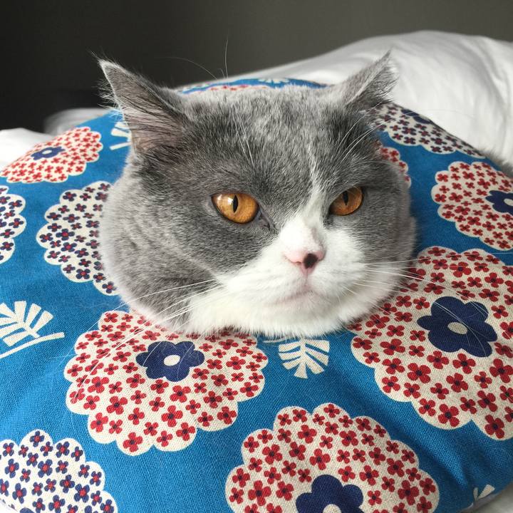 009726a3 1ec0 47ca 9d37 b4c03eec27ba