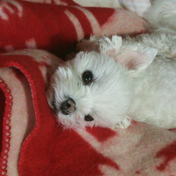 00972861 9c86 470a bb37 9fcc01947eb9