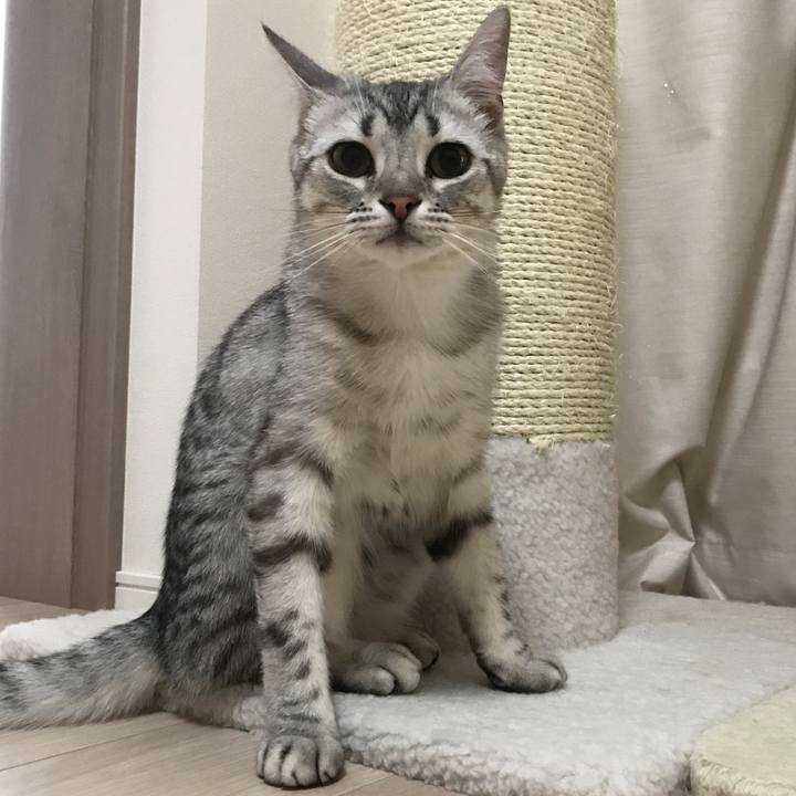 009779a9 db9e 4921 892e b54bfecc3453