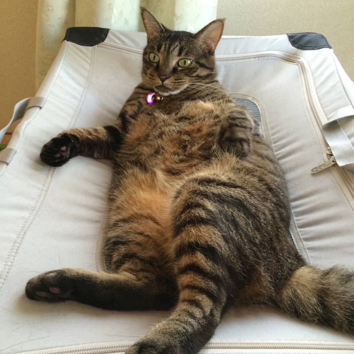 0097cd61 d67a 403e b8be eeb4748c6af1