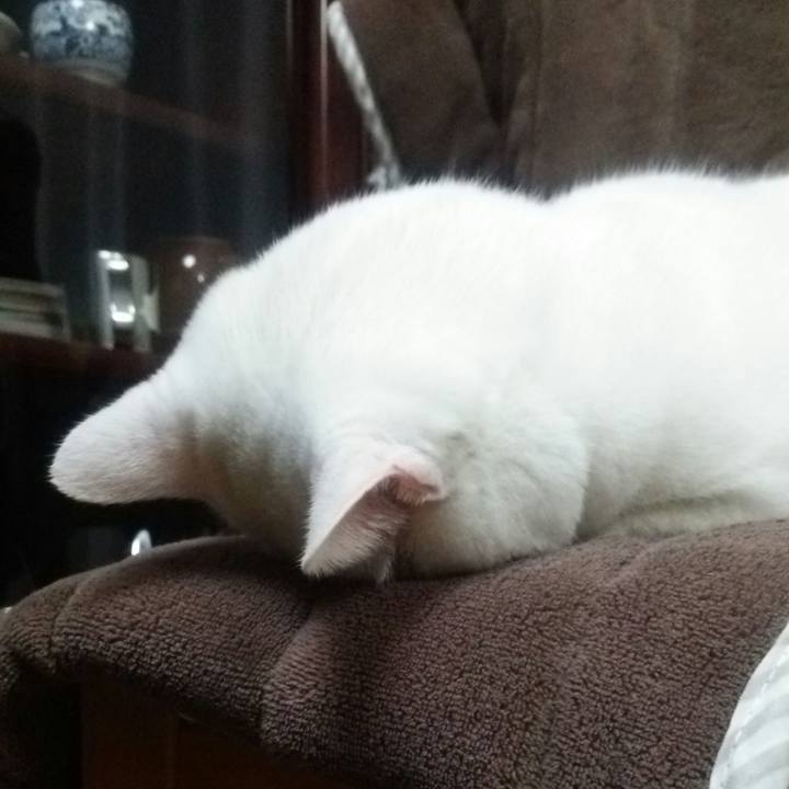 0098a721 05ca 48c9 82bf dfcceb1e06aa