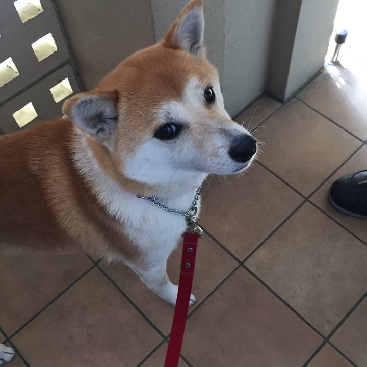 00991b79 46cc 466c bb44 36a0f262adee