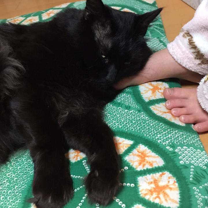 009954ca b56a 4743 b731 3f72fd70311a